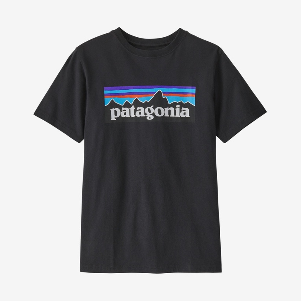 Patagonia Kids' Regenerative Organic Certified® Cotton P-6 Logo T-Shirt